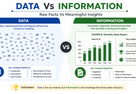 data vs information
